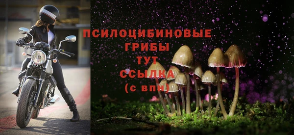 СК Баксан