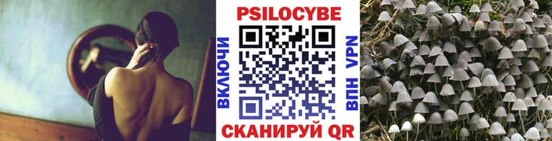 Псилоцибиновые грибы GOLDEN TEACHER где найти Северо-Курильск